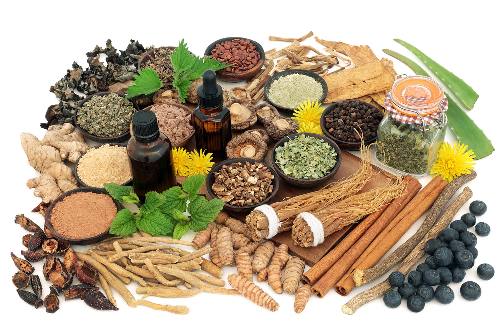 Adaptogens