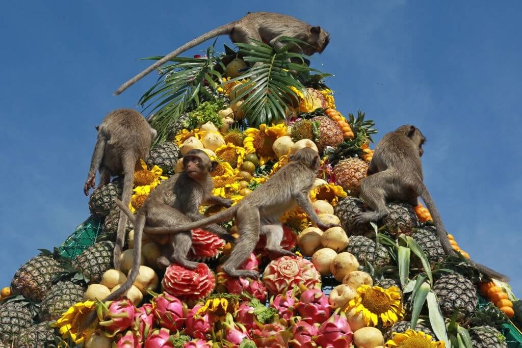 Lopburi Monkey Buffet Festival
