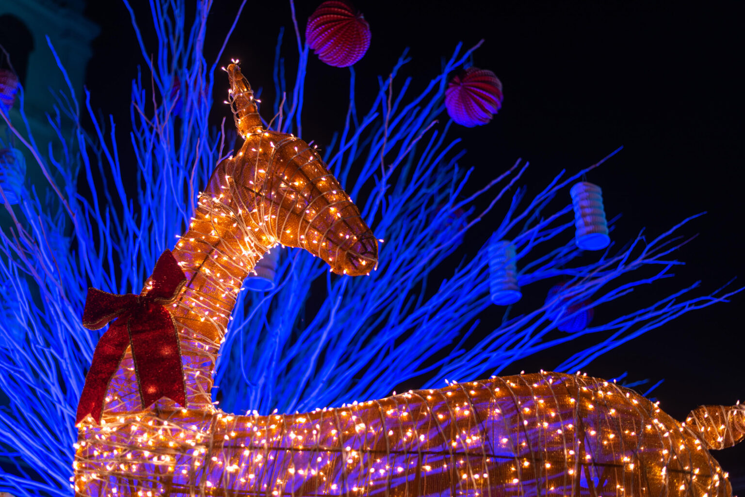 The decorated Reindeer installation illuminated with lights during Christmas