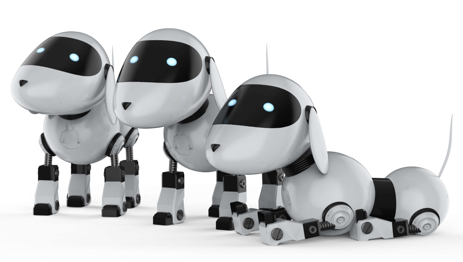Robots