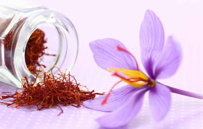 Red Gold of UAE Saffron